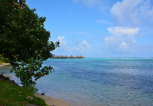 Tahiti 2014